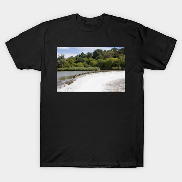 Weir Geese T-Shirt by EugeJ